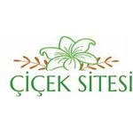 Work Description